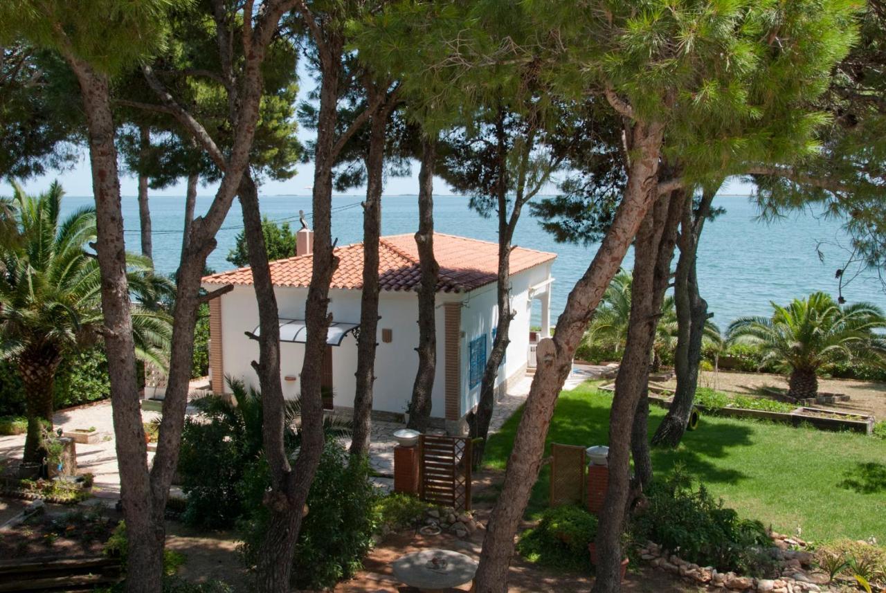 Sargantana Blava Villa Sant Carles De La Rapita Exterior photo